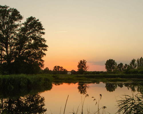 Schemering in het Kempenbroek