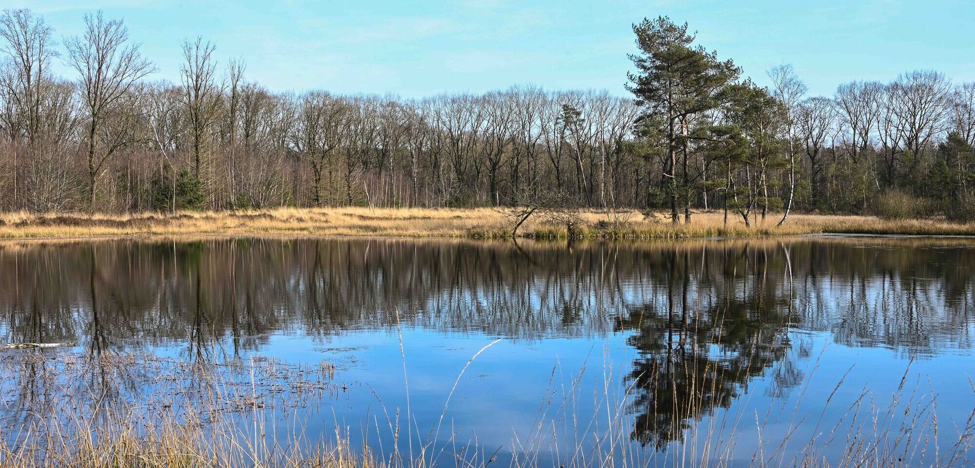Donderslaghei, Ophovenerbos en Kluisberg