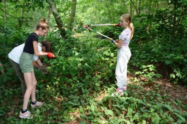 Creatieve zomerkampen in een inspirerend natuurlijk kader aan de Binkermolen. ​Een week vol creatief plezier dicht bij de natuur in kleine groep voor ​jongeren van geboortejaar 2009-2012