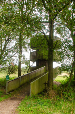 Op de vooravond van de herfst troepen de edelherten in het Weerterbos samen voor de bronstijd. De mannetjes roepen om ter luidst en bestrijden elkaar om het meesterschap van de kudde. De sterkste mag zijn genen doorgeven en paren met de hinden. Dit alles levert voor de toeschouwer spectaculaire beelden op.
