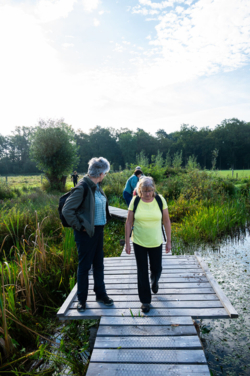 Op de vooravond van de herfst troepen de edelherten in het Weerterbos samen voor de bronstijd. De mannetjes roepen om ter luidst en bestrijden elkaar om het meesterschap van de kudde. De sterkste mag zijn genen doorgeven en paren met de hinden. Dit alles levert voor de toeschouwer spectaculaire beelden op.