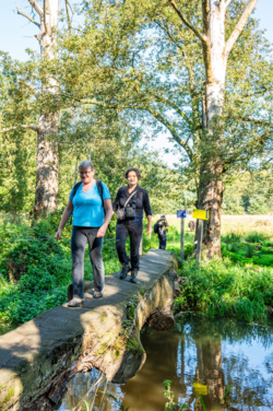 Op de vooravond van de herfst troepen de edelherten in het Weerterbos samen voor de bronstijd. De mannetjes roepen om ter luidst en bestrijden elkaar om het meesterschap van de kudde. De sterkste mag zijn genen doorgeven en paren met de hinden. Dit alles levert voor de toeschouwer spectaculaire beelden op.