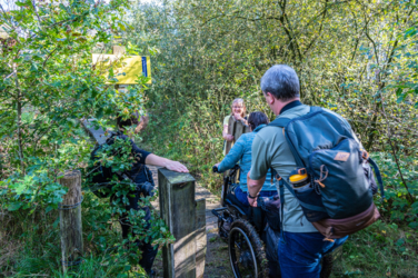 Op de vooravond van de herfst troepen de edelherten in het Weerterbos samen voor de bronstijd. De mannetjes roepen om ter luidst en bestrijden elkaar om het meesterschap van de kudde. De sterkste mag zijn genen doorgeven en paren met de hinden. Dit alles levert voor de toeschouwer spectaculaire beelden op.