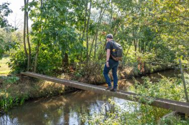 Op de vooravond van de herfst troepen de edelherten in het Weerterbos samen voor de bronstijd. De mannetjes roepen om ter luidst en bestrijden elkaar om het meesterschap van de kudde. De sterkste mag zijn genen doorgeven en paren met de hinden. Dit alles levert voor de toeschouwer spectaculaire beelden op.