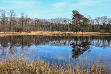 Op de rand van het militair domein van Meeuwen Gruitrode liggen de uitgestrekte naaldbossen van de Donderslagheide gedecoreerd door een afwisseling van open plekken, akkerranden en vennen met klinkende namen als de Ruiterskuilen, het Turfven en het Schaapsven