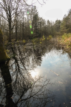 Op de rand van het militair domein van Meeuwen Gruitrode liggen de uitgestrekte naaldbossen van de Donderslagheide gedecoreerd door een afwisseling van open plekken, akkerranden en vennen met klinkende namen als de Ruiterskuilen, het Turfven en het Schaapsven