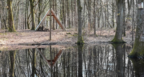 Midden in het Joekelbos staat aan de rand van een plas een driehoekige shelter die samen met de omringende bomen weerspiegelt in het water.