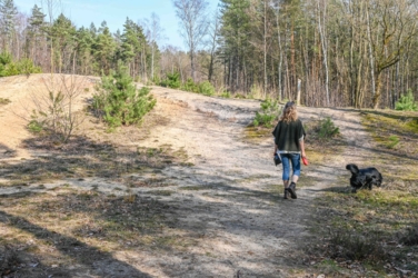 Helena stapt met Mazzel naar een landduin van het Joekelbos. Enige begroeiing zijn wat dennen en berken en wat gras, mossen en korstmossen.