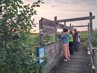 De Luysmolen is het ideale startpunt voor eindeloos wandelplezier. Vanuit deze historische watermolen stap je zo de prachtige natuur van het Kempen~Broek in, waar uitgestrekte bossen, kabbelende beekjes en weidse heidevlakten op je wachten. Of je nu kiest voor een korte, ontspannen wandeling of een stevige dagtocht, elke kilometer brengt je dichter bij de rust en schoonheid van de natuur.
