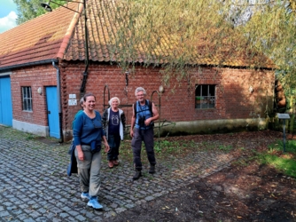 De Luysmolen is het ideale startpunt voor eindeloos wandelplezier. Vanuit deze historische watermolen stap je zo de prachtige natuur van het Kempen~Broek in, waar uitgestrekte bossen, kabbelende beekjes en weidse heidevlakten op je wachten. Of je nu kiest voor een korte, ontspannen wandeling of een stevige dagtocht, elke kilometer brengt je dichter bij de rust en schoonheid van de natuur.