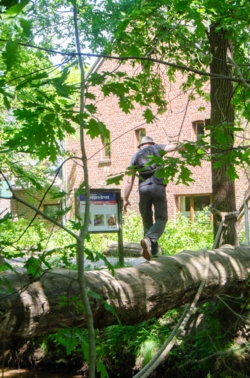 De Luysmolen is het ideale startpunt voor eindeloos wandelplezier. Vanuit deze historische watermolen stap je zo de prachtige natuur van het Kempen~Broek in, waar uitgestrekte bossen, kabbelende beekjes en weidse heidevlakten op je wachten. Of je nu kiest voor een korte, ontspannen wandeling of een stevige dagtocht, elke kilometer brengt je dichter bij de rust en schoonheid van de natuur.