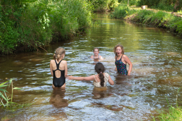 Échappez au stress quotidien et détendez-vous au Binkermolen, où la nature et la créativité se rencontrent. L'asbl LeefJeNatuur propose trois emplacements de camping confortables au milieu du cœur vert de la vallée d'Abeek.  Appréciez le silence et le charme d'un camping simple et pur.
