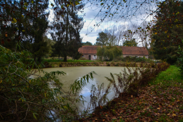 Échappez au stress quotidien et détendez-vous au Binkermolen, où la nature et la créativité se rencontrent. L'asbl LeefJeNatuur propose trois emplacements de camping confortables au milieu du cœur vert de la vallée d'Abeek.  Appréciez le silence et le charme d'un camping simple et pur.