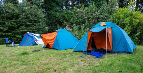 Échappez au stress quotidien et détendez-vous au Binkermolen, où la nature et la créativité se rencontrent. L'asbl LeefJeNatuur propose trois emplacements de camping confortables au milieu du cœur vert de la vallée d'Abeek.  Appréciez le silence et le charme d'un camping simple et pur.