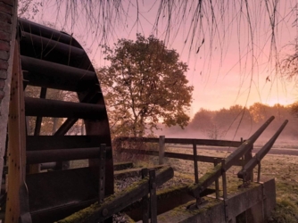 Een uniek verblijf in een authentiek huis, waar ingekerfde teksten op de oude eiken balken stukjes geschiedenis vertellen. Rustig gelegen, omgeven door de natuur: natuurlijk buiten, natuurlijk binnen.