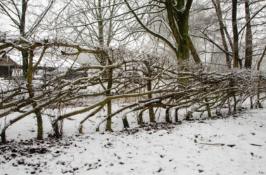 Een uniek verblijf in een authentiek huis, waar ingekerfde teksten op de oude eiken balken stukjes geschiedenis vertellen. Rustig gelegen, omgeven door de natuur: natuurlijk buiten, natuurlijk binnen.
