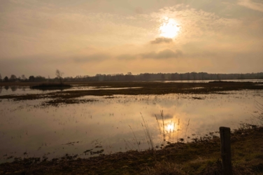 Zonsopgang weerspiegelt in een oud ven op de Leenderheide aan de Achelse Kluis.