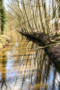 Speciaal gefotografeerd van de weerspiegelde bomen langs de Abeek aan de parking. Het beeld geeft een speciaal beeld met beweging door inzoeming van de lens tijdens het fotograferen.