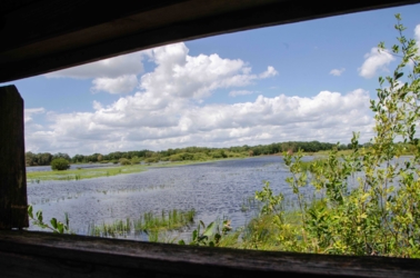 We zien de opening van de observatiehut van De Banen met een uitzicht over het water en de begroeiing erin en errond.