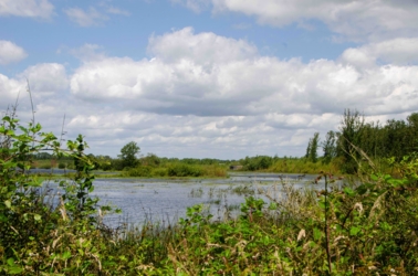 We zien de plas van de water omringd door het groen.