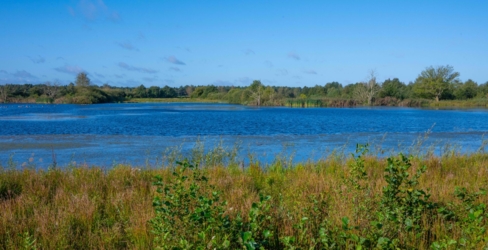 Zicht op het blauw gekleurde water van een ven op Leenderheide en de groene begroeiing in de rand.