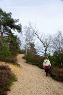 Helena wandelt via een zandpad met nog een aftakking naar links naar de top van een stuifduin. Links en rechts zien we heide met links enkele hoge dennen en rechts berken, dennetjes en enkele eiken.