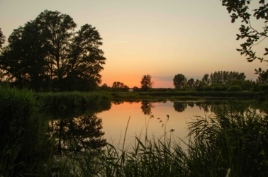 Wandel vanuit Vakantiehuis De Luysmolen recht de natuur van het Kempenbroek in