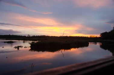 Wandel vanuit Vakantiehuis De Luysmolen recht de natuur van het Kempenbroek in