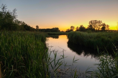 Wandel vanuit Vakantiehuis De Luysmolen recht de natuur van het Kempenbroek in