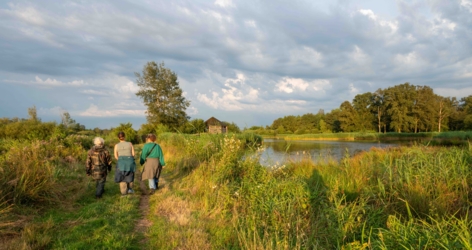 Wandel vanuit Vakantiehuis De Luysmolen recht de natuur van het Kempenbroek in
