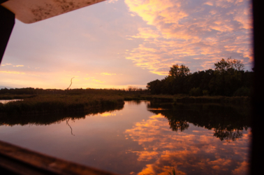 Wandel vanuit Vakantiehuis De Luysmolen recht de natuur van het Kempenbroek in