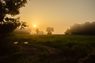 Wandel vanuit Vakantiehuis De Luysmolen recht de natuur van het Kempenbroek in