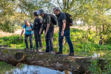 Wandel vanuit Vakantiehuis De Luysmolen recht de natuur van het Kempenbroek in