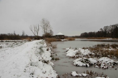 Wandel vanuit Vakantiehuis De Luysmolen recht de natuur van het Kempenbroek in