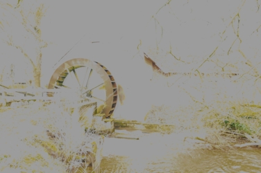 Bezoek de Luysmolen met molenaar Jan Loubele.
