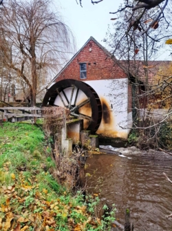 Bezoek de Luysmolen met molenaar Jan Loubele.