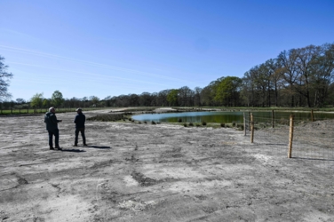 Wandel door de grensoverschrijdende moerassen van Smeetshof en Wijfelterbroek en sta oog in oog met de Tauros. 