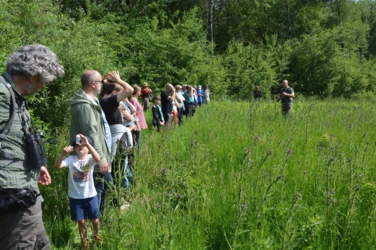 Stap de deur van Vakantiehuis De Luysmolen uit en start onmiddellijk de 104 km lange afstandswandeling die de belangrijkste natuurgebieden van het Kempenbroek aan elkaar rijgt. Geen zorg voor je overnachtingen. Onze breng- en haalservice pikt je 's avonds gewoon terug op. 