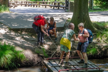 Stap de deur van Vakantiehuis De Luysmolen uit en start onmiddellijk de 104 km lange afstandswandeling die de belangrijkste natuurgebieden van het Kempenbroek aan elkaar rijgt. Geen zorg voor je overnachtingen. Onze breng- en haalservice pikt je 's avonds gewoon terug op. 