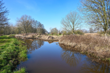 Stap de deur van Vakantiehuis De Luysmolen uit en start onmiddellijk de 104 km lange afstandswandeling die de belangrijkste natuurgebieden van het Kempenbroek aan elkaar rijgt. Geen zorg voor je overnachtingen. Onze breng- en haalservice pikt je 's avonds gewoon terug op. 