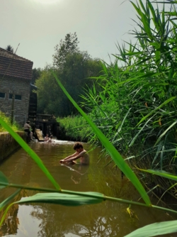 Beleef jouw creativiteit met je handen in de klei ​tijdens onze Gezellige Creatieve Zomer4daagse in kleine groep ​in het natuurlijk en inspirerend kader ​van de historische Binkermolen, waar het keramiekatelier van Puur Helena gelegen is.