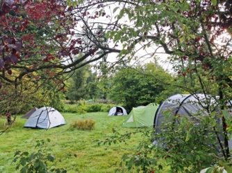 Ontdek jouw creativiteit met je handen in de klei ​tijdens onze creatieve zomer4daagse pottenbakken ​in het natuurlijk en inspirerend kader ​van de eeuwenoude Binkermolen, waar het keramiekatelier van PuurHelena ligt. Plaats voor max 8 personen!