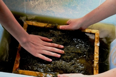 Creatieve zomerkampen in een inspirerend natuurlijk kader aan de Binkermolen. ​Een week vol creatief plezier dicht bij de natuur in kleine groep voor ​jongeren van geboortejaar 2010-2013