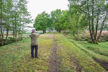 Ontdek dit verborgen pareltje van het Kempenbroek en ga struinen tussen de kudde Taurossen en de dartele Exmoor Pony's. Vanaf mei kleurt het blauw van de bloeiende lupinnen.