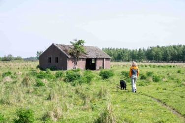 Ontdek dit verborgen pareltje van het Kempenbroek en ga struinen tussen de kudde Taurossen en de dartele Exmoor Pony's. Vanaf mei kleurt het blauw van de bloeiende lupinnen.
