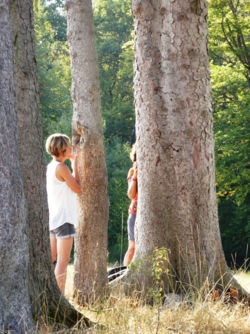 We beseffen het steeds meer: de mens is vervreemd van de natuur en van zichzelf. Een goede mentale gezondheid is de nieuwe rijkdom. Leef Je Natuur biedt natuurbelevings-activiteiten en coachings aan om het contact met je eigen natuur te herstellen.