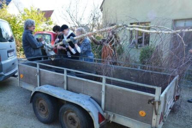 Maanden van verhuis naar en verbouwingen in de Binkermolen