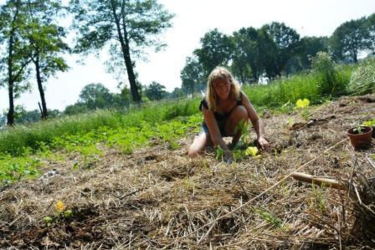 Maanden van verhuis naar en verbouwingen in de Binkermolen
