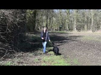 Wandeling in De Zig