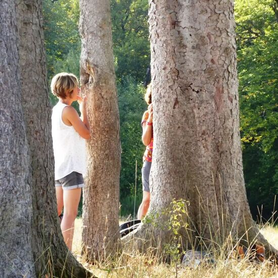 Met onze natuurcoaching herstellen we het contact met de natuur en jezelf.